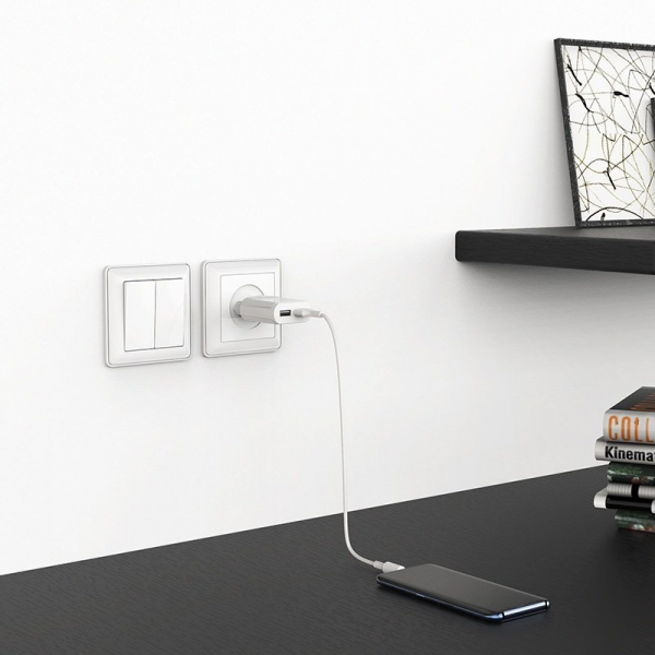Сетевое зарядное устройство Borofone BA8A, 2 USB, 2.1A, черный